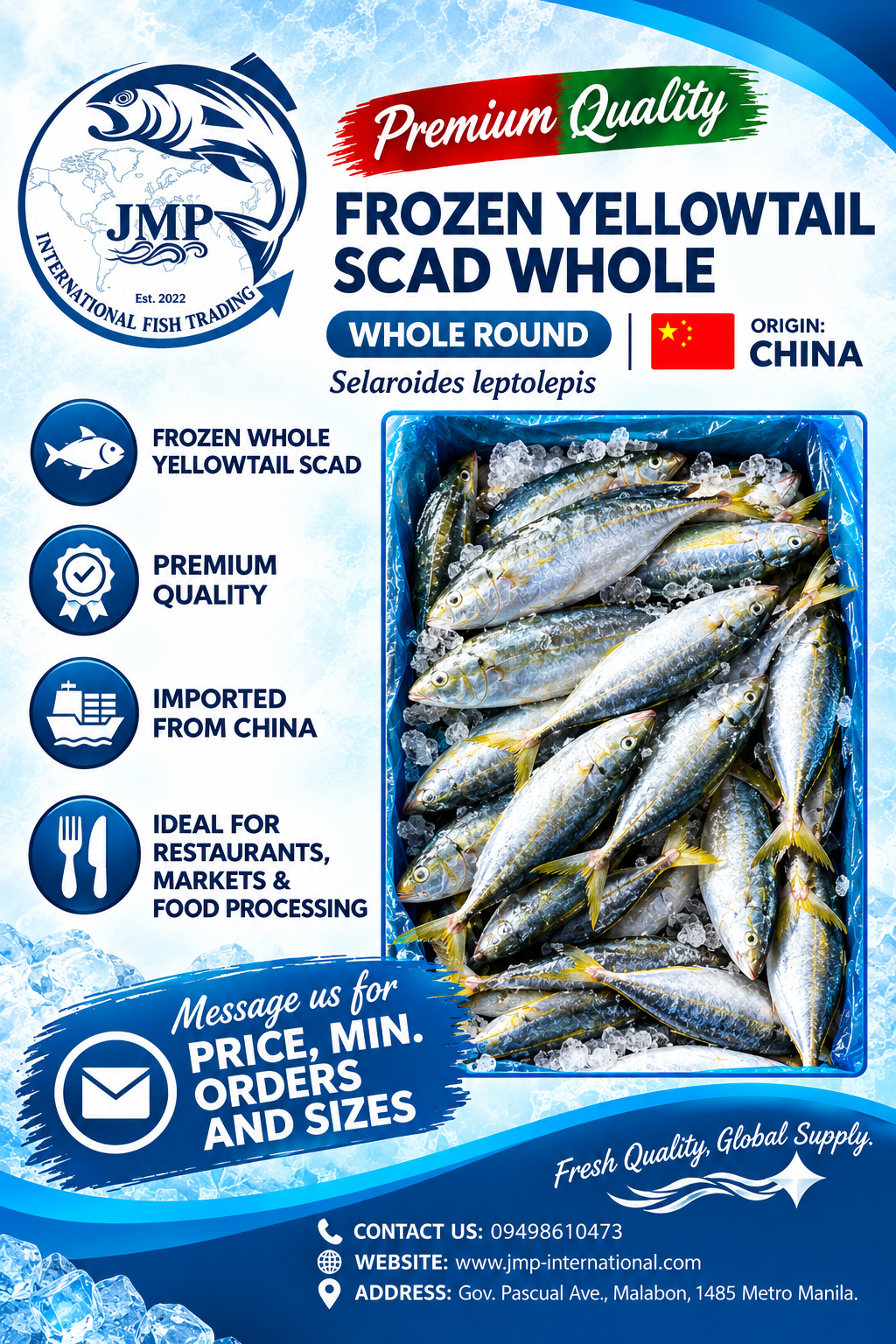 Frozen Yellowtail Scad Whole